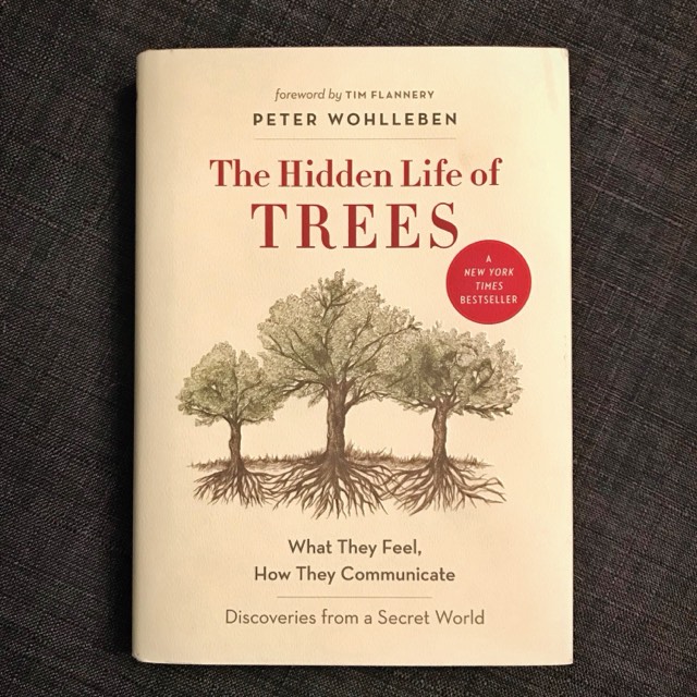 Hidden Life of Trees