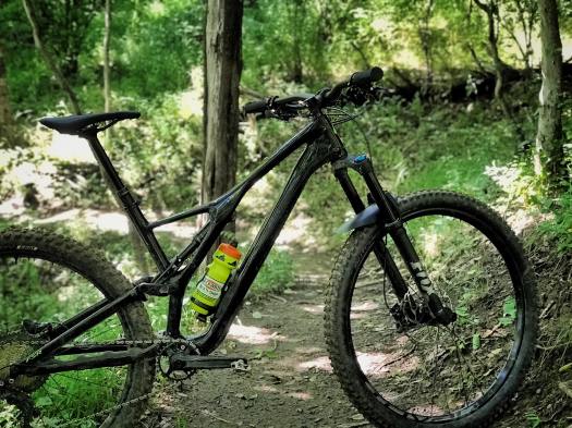 2019 Stumpjumper Comp Carbon