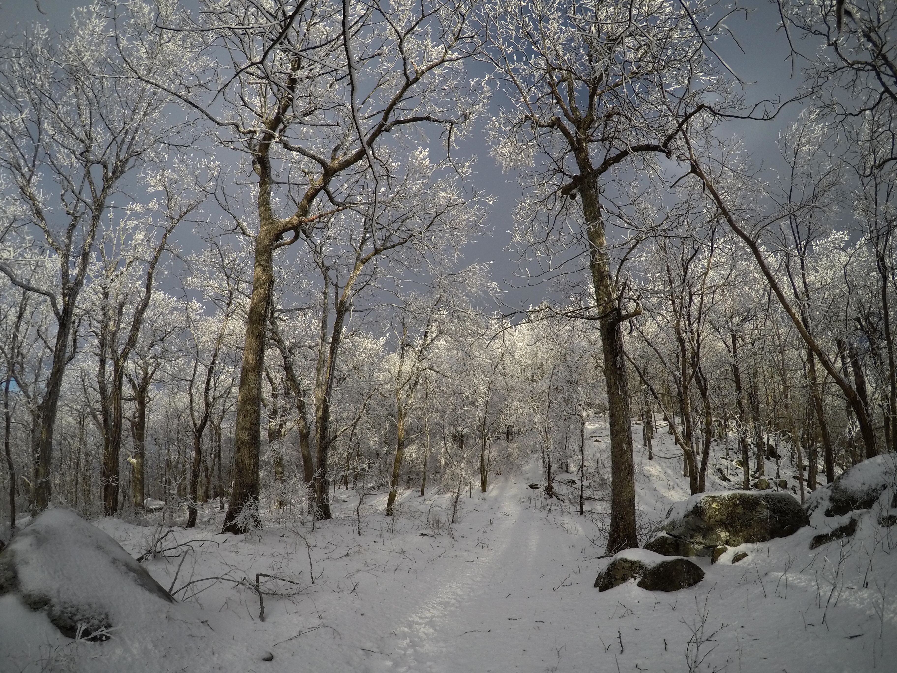 DCIM122GOPROGOPR8901.JPG